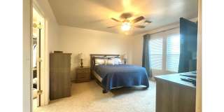 4778 S Chilean Loop Gallery 9