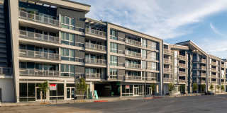 Haven Apartments Gallery 50