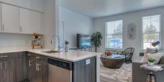 Red Hawk and Laurel Grey Gallery 16