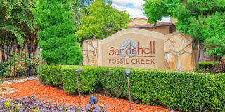 Sandshell at Fossil Creek Gallery 39