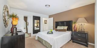 Hollis 7601 Gallery 21