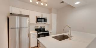 The Chandler Gallery 13