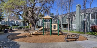 Wood Creek Gallery 10