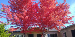 Mountain View 2 Bedroom 1 Bath Duplex on a Hill Gallery 3