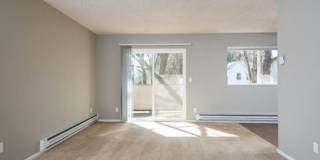 The Oswegan Gallery 8
