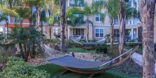 RIZE at Winter Springs Gallery 21