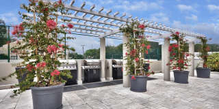 3301 BAYSHORE BOULEVARD Gallery 20