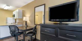 Tampa - North - USF - Attractions Gallery 8