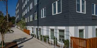 The Frankie Gallery 41