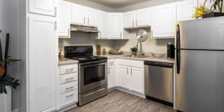 The Falls Gallery 28