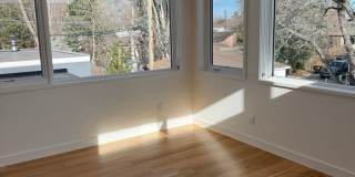 Silver Maple Stunning Gallery 31