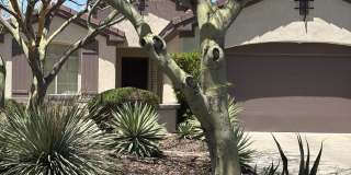 41520 N RIVER BEND Court Gallery 3