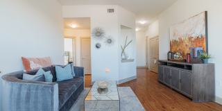 Domain at Kirby Gallery 17