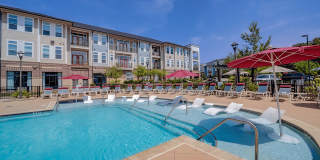 Holly Crest Gallery 4