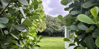 1094 Raintree Lane Gallery 3