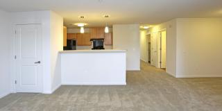 River Glen Gallery 11