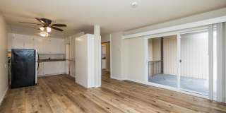 115 Moss Avenue Gallery 4