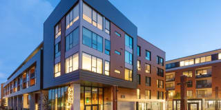 Avalon Dogpatch Gallery 37