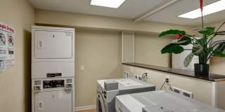 Village Square Gallery 3