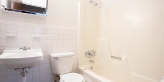 Silver Pond Gallery 16