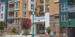The Arroyo Gallery 55