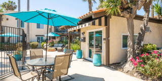 Maddox Gallery 19