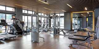 Alas Over Lowry Gallery 29