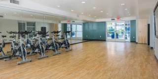 The Howard Gallery 13