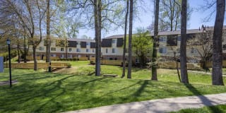 North Woods At The Four Seasons Gallery 15