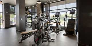 Madison West Elm Gallery 60