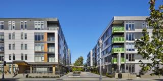 The District Gallery 30