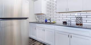 Aster on University Gallery 17