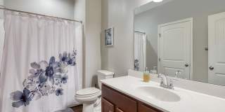 Logans Landing Gallery 21