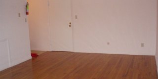 Graduate and Professional Gallery 22