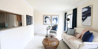 Columbia View Gallery 4