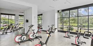 Presidential City Gallery 46