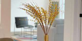 1366 W 35th Street - Co-Living 1366 W 35th Street - Co-Living Gallery 21