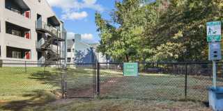 Hollytree Apartments Gallery 31