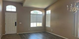15177 Dandelion Gallery 5