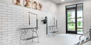 Citron at the Packing District Gallery 62