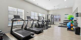 The Grove Gallery 15