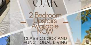 Live Oak Gallery 1