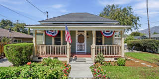 Primrose Gallery 1
