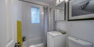 Sunny 1BR in Brookline | Heat & Hot Water Included | 9/1 Gallery 7
