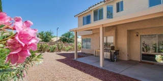 2437 Twin Flower Circle Gallery 16