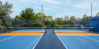 Halstead Countryside Gallery 28