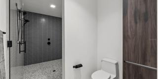Reflection Gallery 23