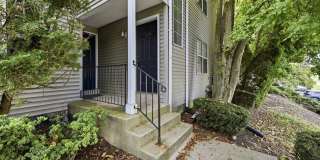 319 CASHEL CT #319 Gallery 1