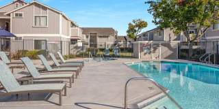 The Sycamores Apartments Gallery 15