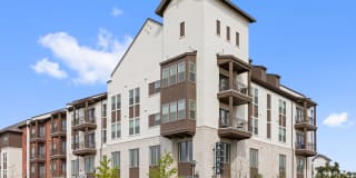 The Asher The Asher Gallery 4